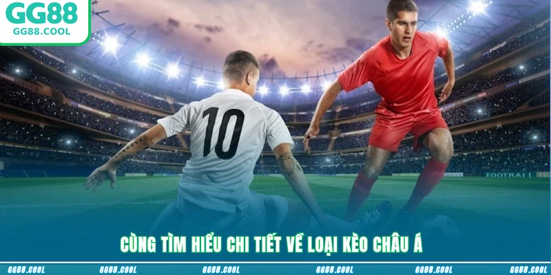 Cùng tìm hiểu chi tiết về loại kèo Châu Á